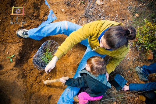 7d57a-130210-veh-011-l