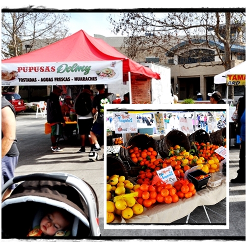 oranges and lemons and toddler sleeping at farmer's market