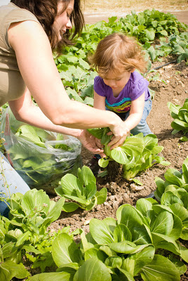 toddler at farm
