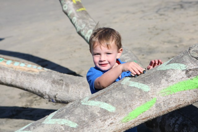 toddler climbing a tree