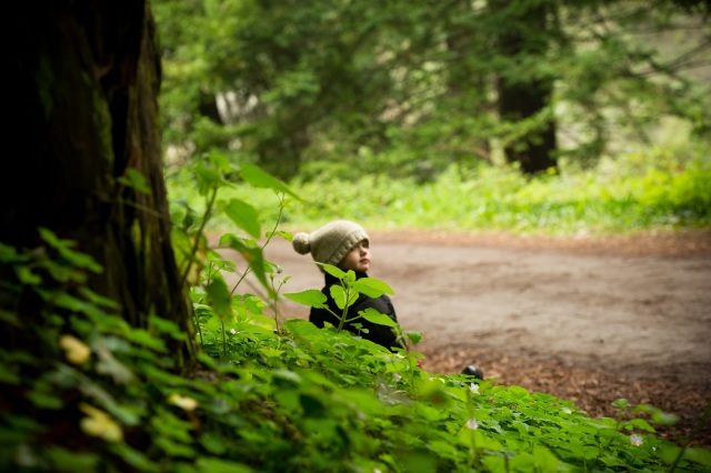 toddler sitting in the woods