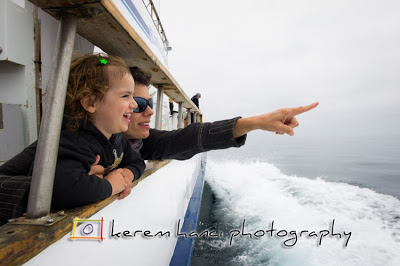 whale watching cruise channel islands whale watching cruise channel islands