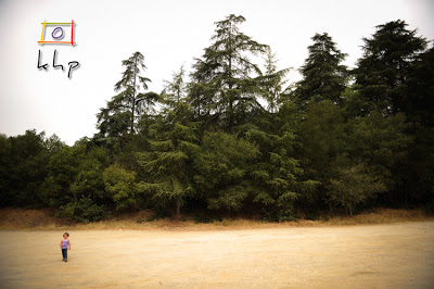 kids hiking kids hiking