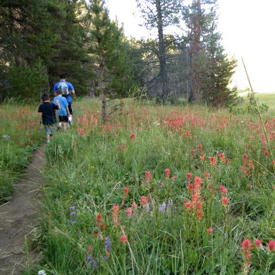 Kid's Hiking Scavenger Hunt
