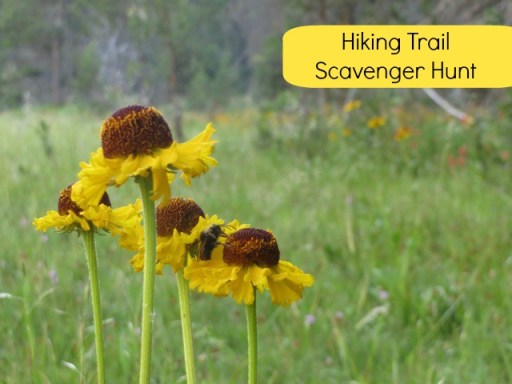 a3206-hikingtrailscavengerhunt-pinnable