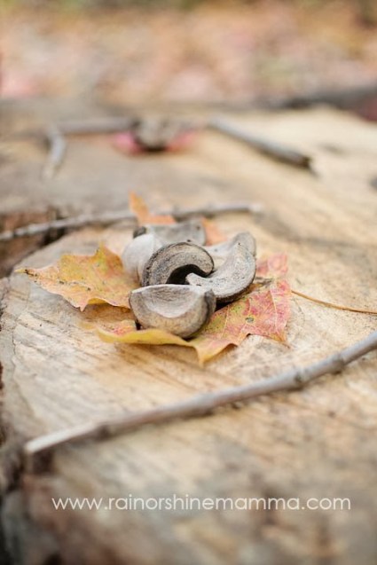 Kid Outdoor Playspace