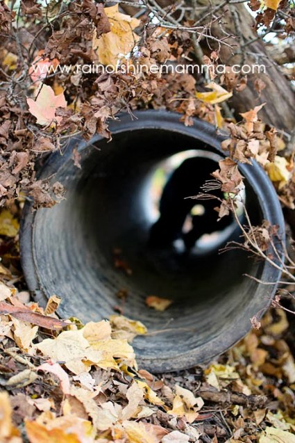 Kid Outdoor Playspace