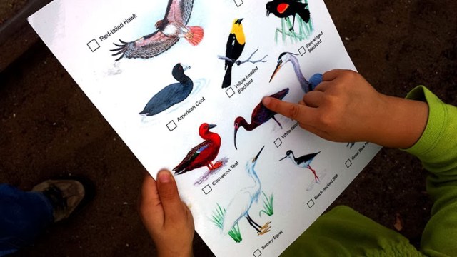 Family Volunteering at Ballona Wetlands