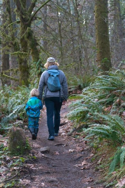 Toddler hiking