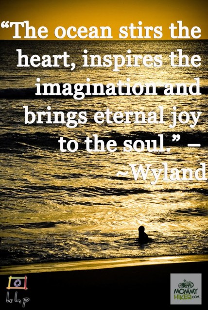 Inspirational Nature Quote