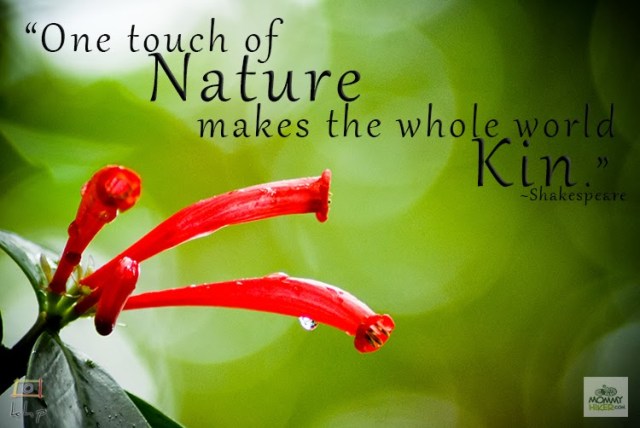 Inspirational Quote - William Shakespeare