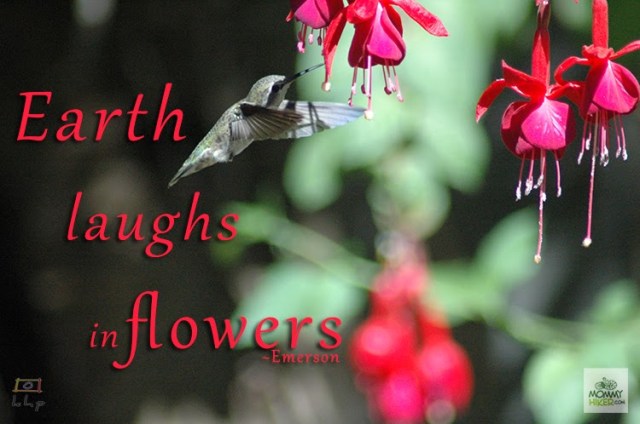 Earth laughs in flowers. Ralph Waldo Emerson