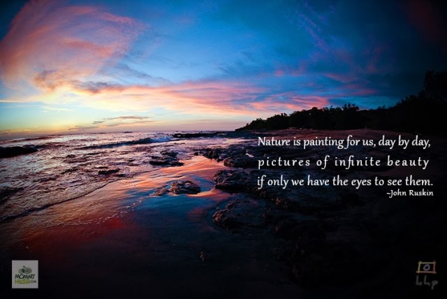 Inspirational Nature Quote