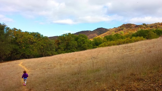 toddler hiking