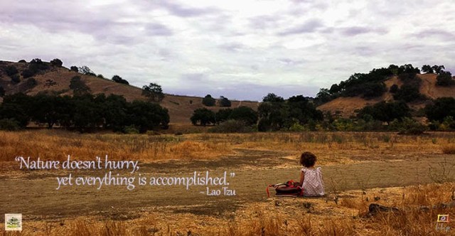 Inspirational Nature Quote - Lao Tzu