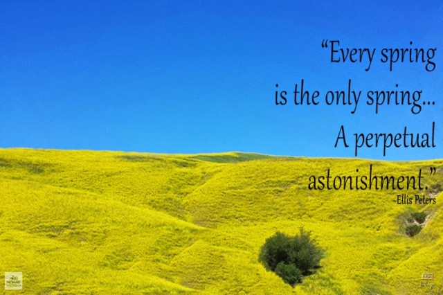 Inspirational Nature Quote - Ellis Peters