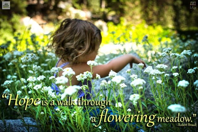 Inspirational Nature Quote - Robert Brault