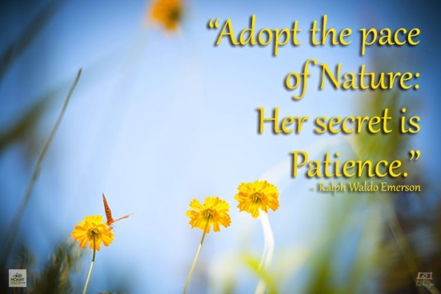 Inspirational Nature Quote - Ralph Waldo Emerson