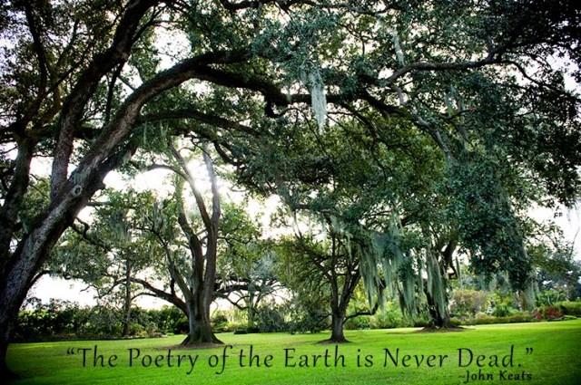 Inspiration Nature Quote - John Keats