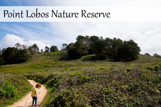 27eb8-point-lobos-hike-3