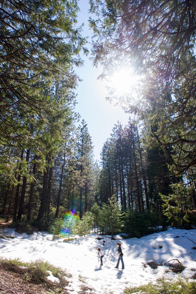yosemite-hiking-kids-2
